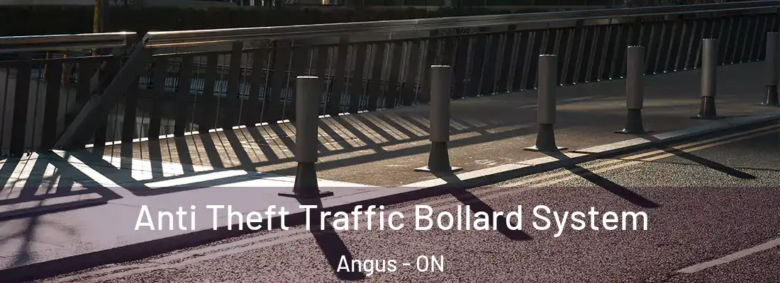  Anti Theft Traffic Bollard System Angus - ON