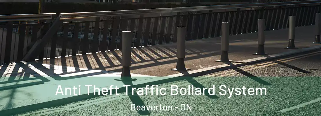  Anti Theft Traffic Bollard System Beaverton - ON