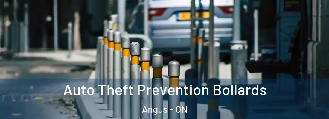  Auto Theft Prevention Bollards Angus - ON