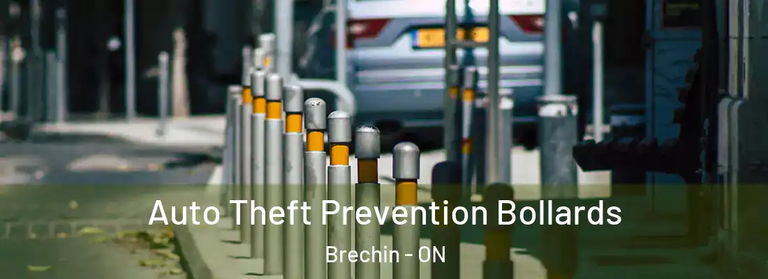  Auto Theft Prevention Bollards Brechin - ON