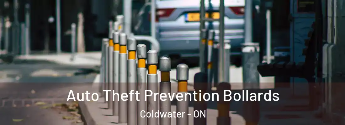  Auto Theft Prevention Bollards Coldwater - ON