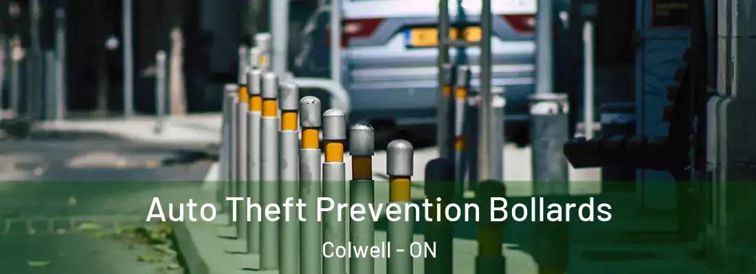  Auto Theft Prevention Bollards Colwell - ON