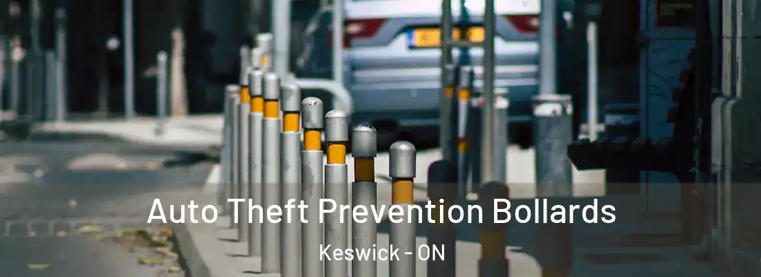 Auto Theft Prevention Bollards Keswick - ON