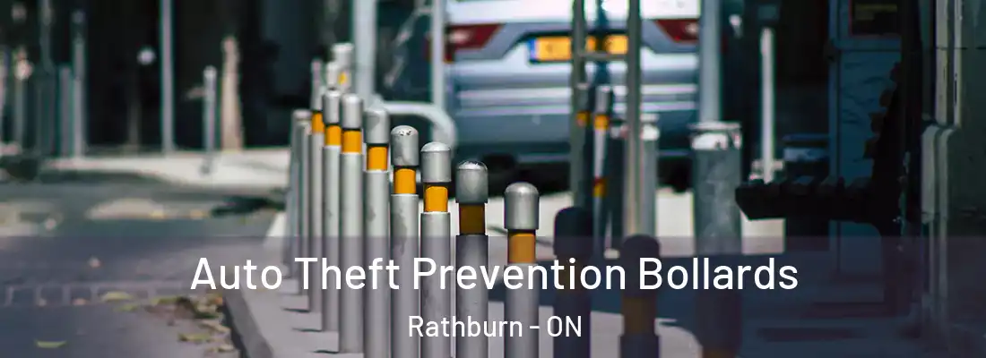  Auto Theft Prevention Bollards Rathburn - ON