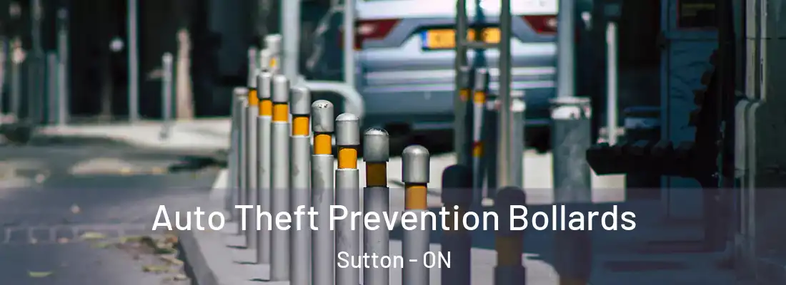  Auto Theft Prevention Bollards Sutton - ON