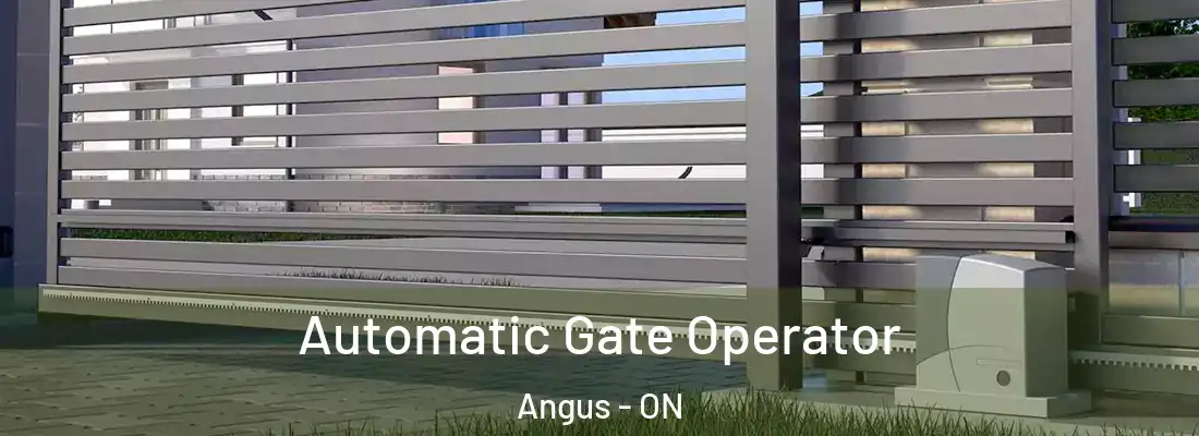  Automatic Gate Operator Angus - ON