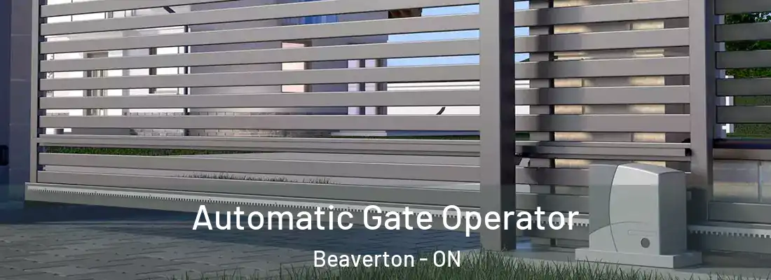  Automatic Gate Operator Beaverton - ON