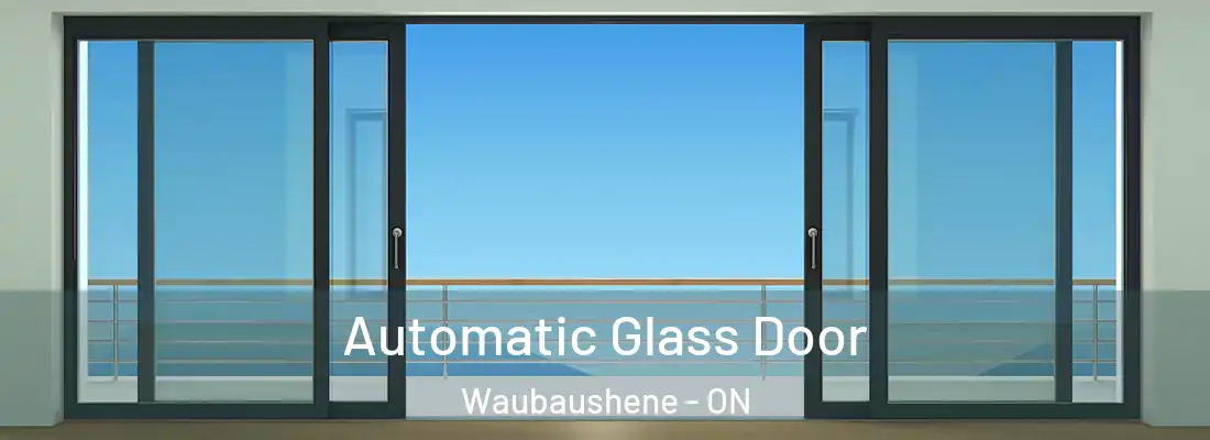  Automatic Glass Door Waubaushene - ON