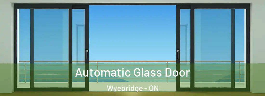  Automatic Glass Door Wyebridge - ON