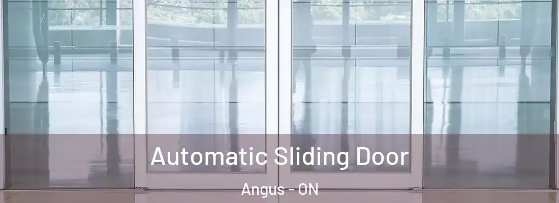 Automatic Sliding Door Angus - ON