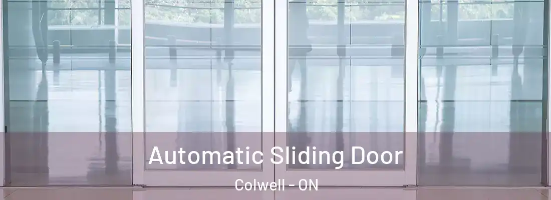  Automatic Sliding Door Colwell - ON