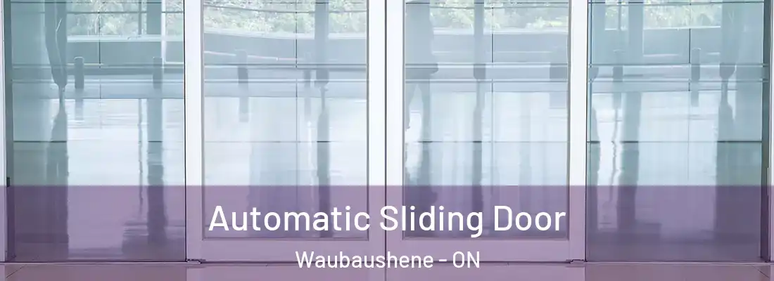  Automatic Sliding Door Waubaushene - ON