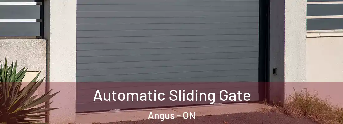  Automatic Sliding Gate Angus - ON