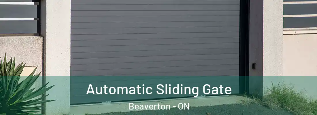  Automatic Sliding Gate Beaverton - ON