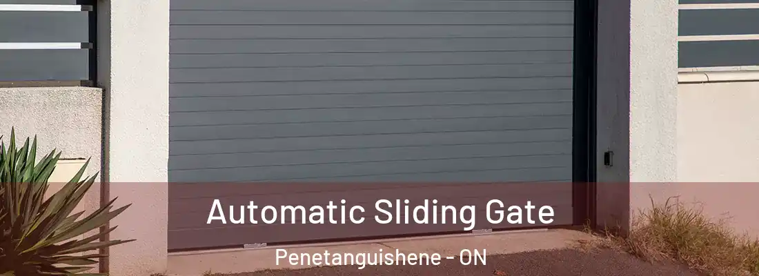  Automatic Sliding Gate Penetanguishene - ON