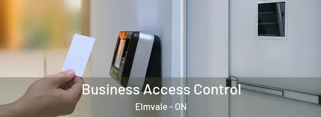  Business Access Control Elmvale - ON
