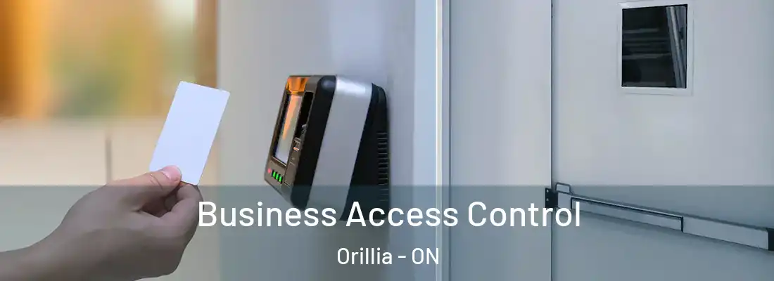  Business Access Control Orillia - ON