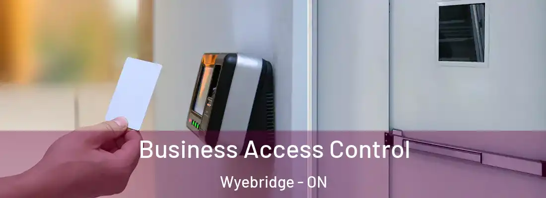  Business Access Control Wyebridge - ON