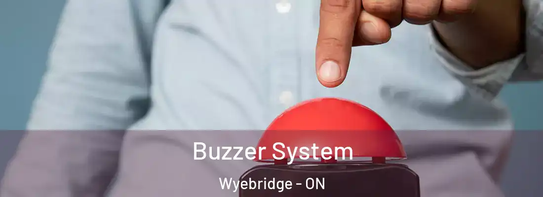  Buzzer System Wyebridge - ON