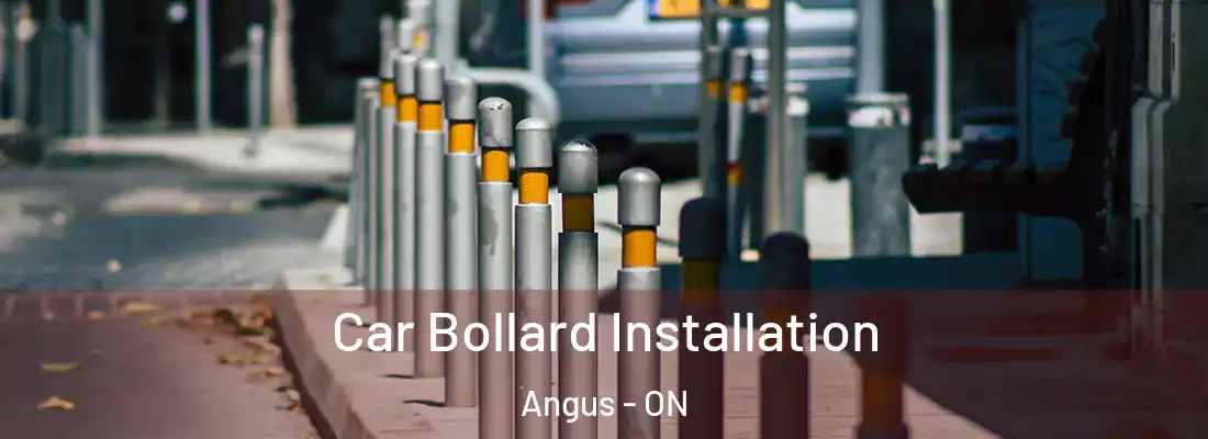  Car Bollard Installation Angus - ON
