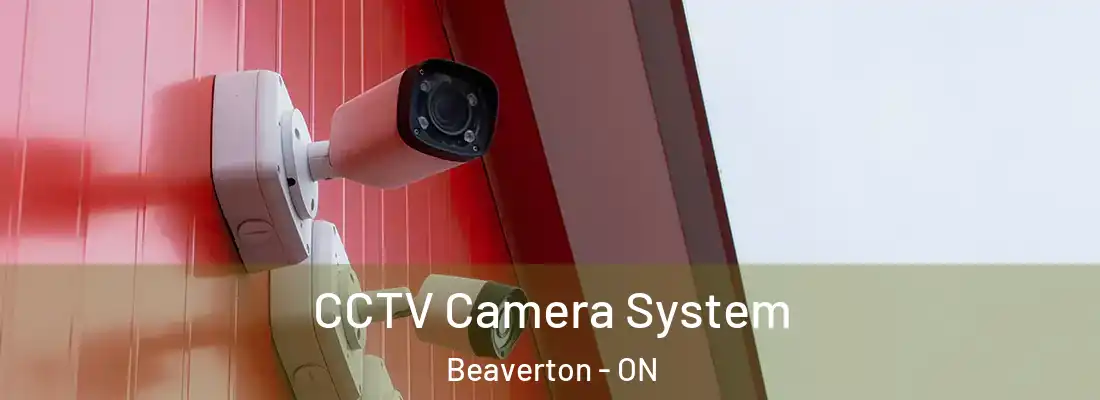  CCTV Camera System Beaverton - ON