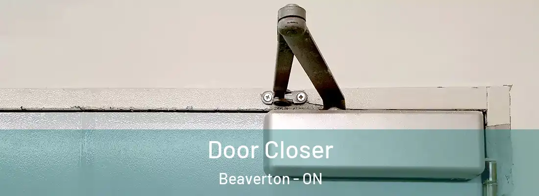  Door Closer Beaverton - ON