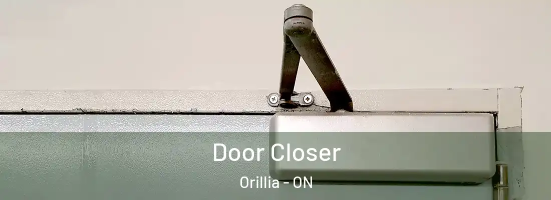  Door Closer Orillia - ON