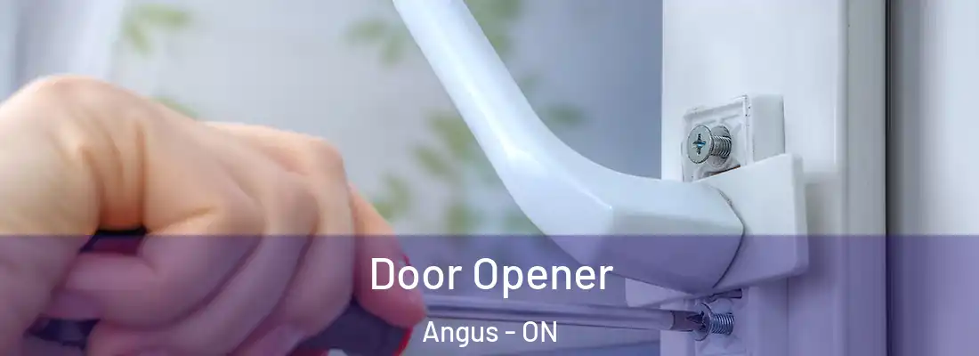  Door Opener Angus - ON