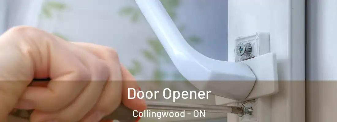  Door Opener Collingwood - ON