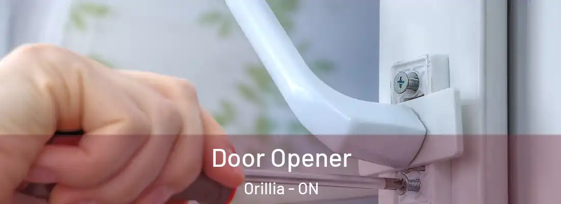  Door Opener Orillia - ON