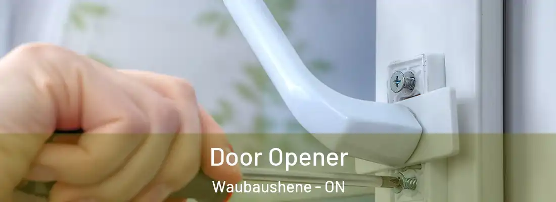  Door Opener Waubaushene - ON