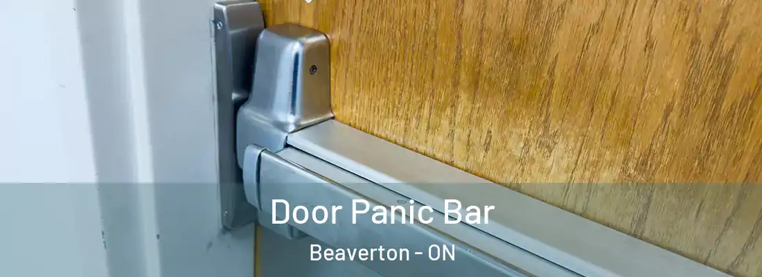  Door Panic Bar Beaverton - ON