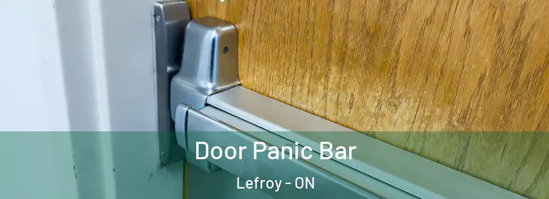  Door Panic Bar Lefroy - ON