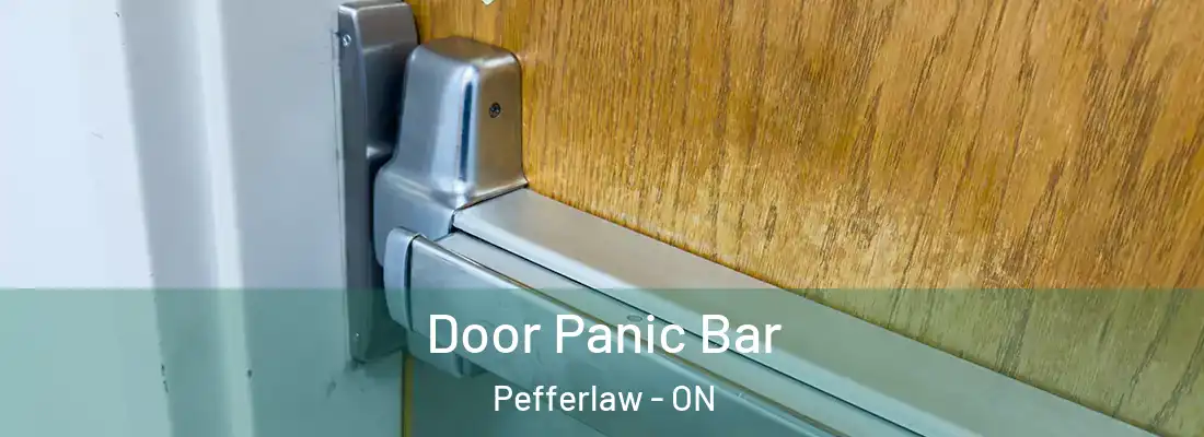  Door Panic Bar Pefferlaw - ON