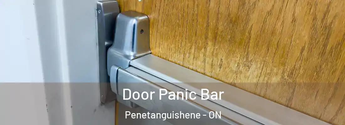  Door Panic Bar Penetanguishene - ON