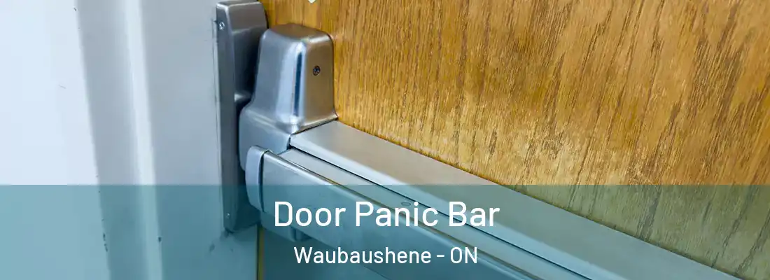  Door Panic Bar Waubaushene - ON