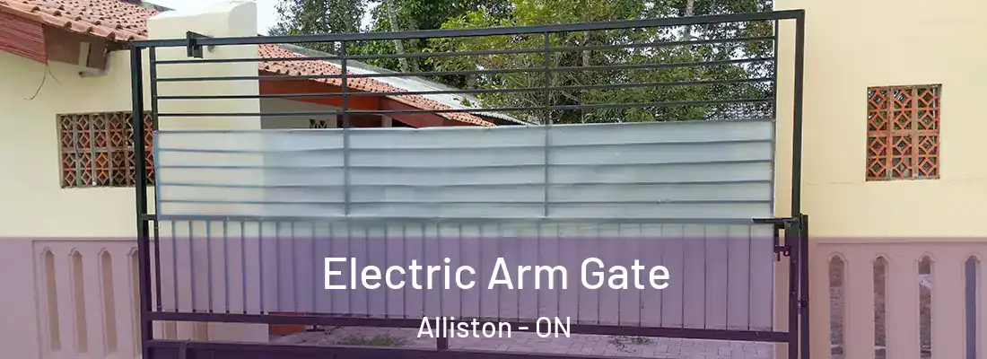  Electric Arm Gate Alliston - ON