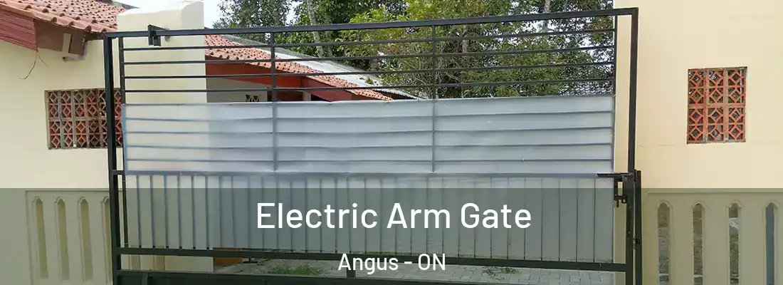  Electric Arm Gate Angus - ON