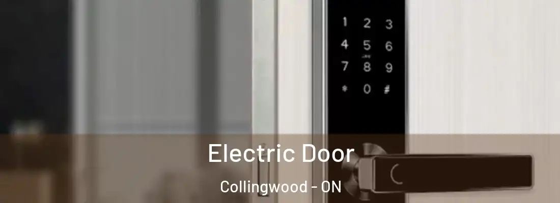  Electric Door Collingwood - ON