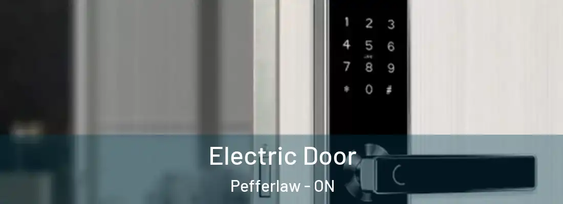  Electric Door Pefferlaw - ON