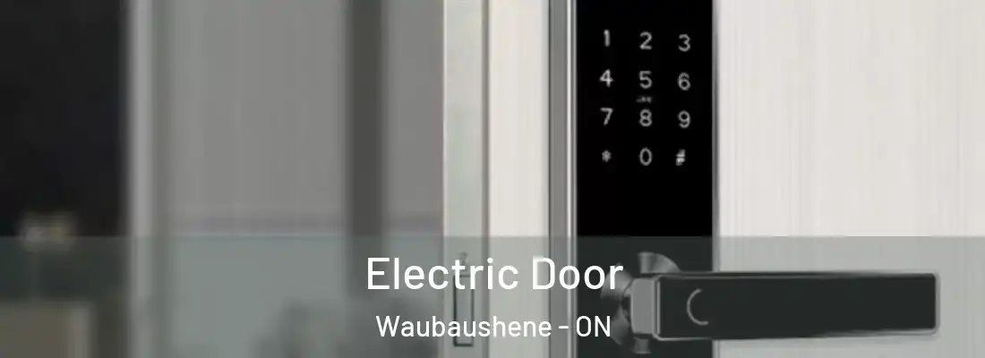  Electric Door Waubaushene - ON