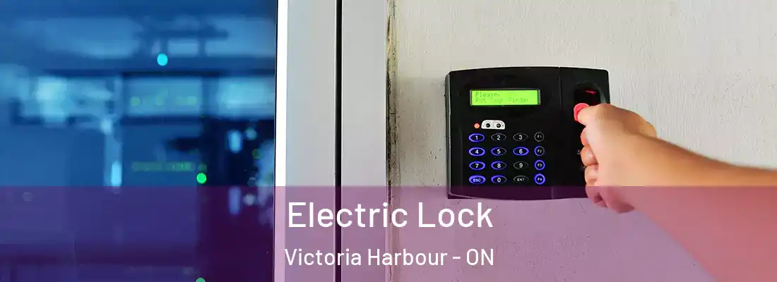  Electric Lock Victoria Harbour - ON