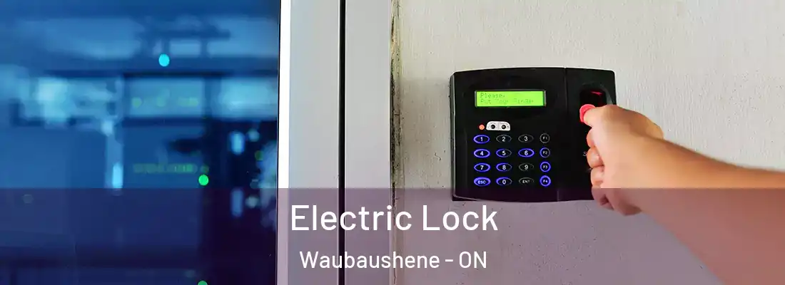  Electric Lock Waubaushene - ON