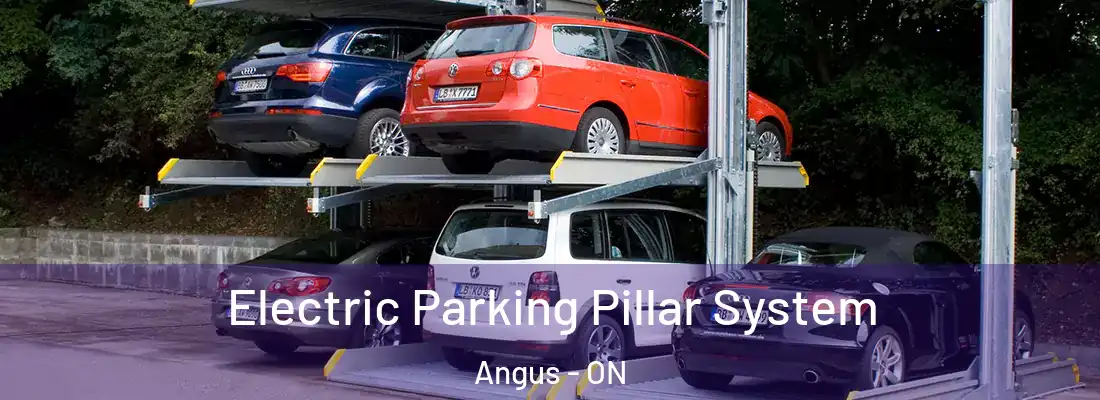  Electric Parking Pillar System Angus - ON
