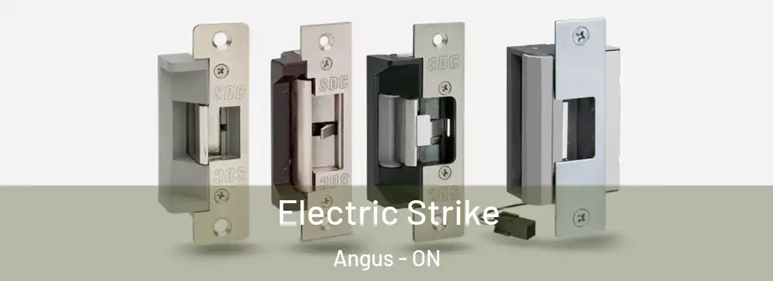  Electric Strike Angus - ON