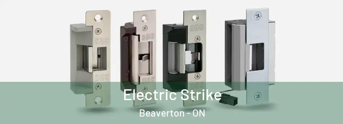  Electric Strike Beaverton - ON