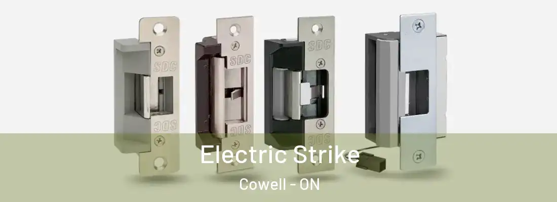  Electric Strike Cowell - ON