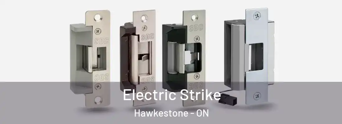  Electric Strike Hawkestone - ON