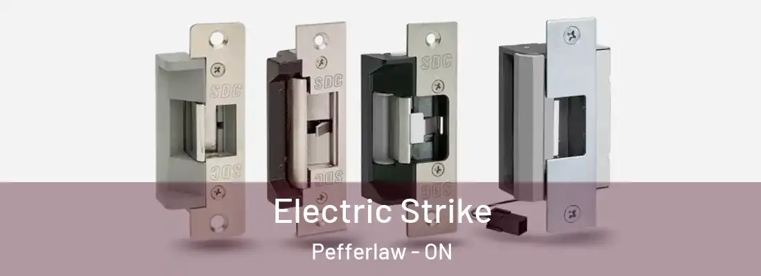  Electric Strike Pefferlaw - ON