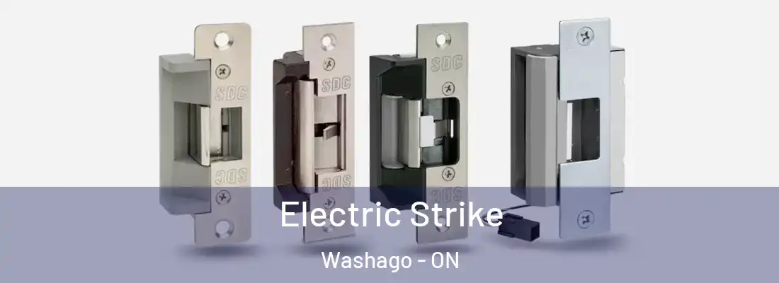  Electric Strike Washago - ON